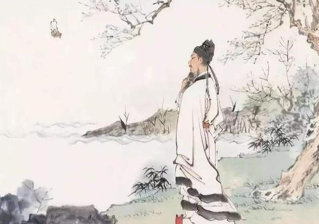 中兴最新款手机，技术革新与市场期待的激烈碰撞