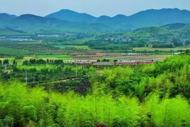 竹镇镇最新规划，与自然美景的浪漫遨游之旅