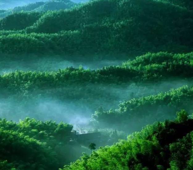 最新章节Sodu，自然美景之旅，探寻内心平和与宁静的旅程