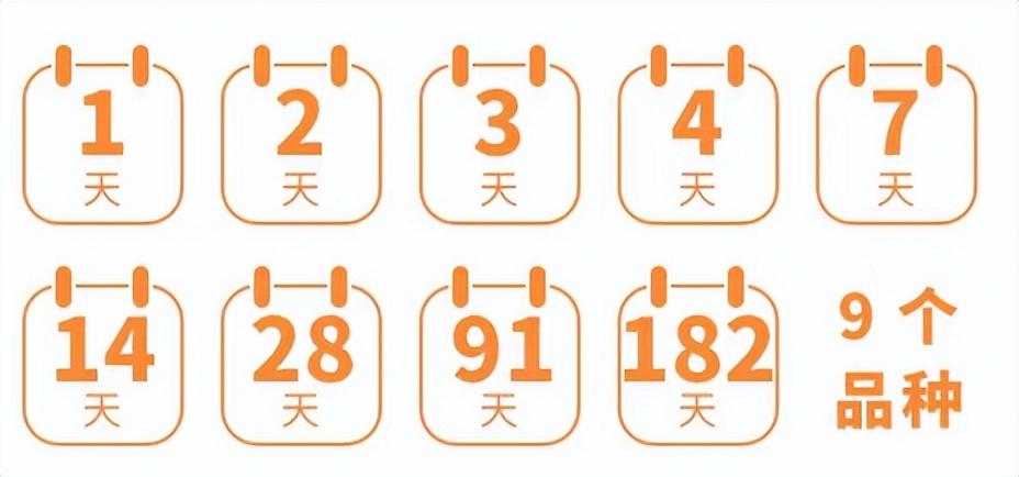 国债最新动态，全面指南与操作步骤