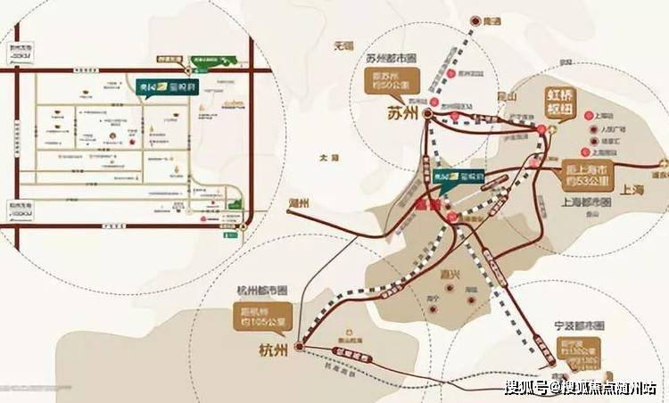 大姜价格最新行情详解，获取与分析指南