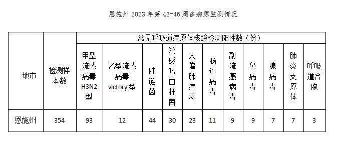 恩施最新疫情概述