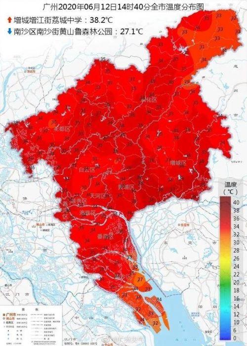 最新台风鹦鹉，科技重塑生活体验新篇章