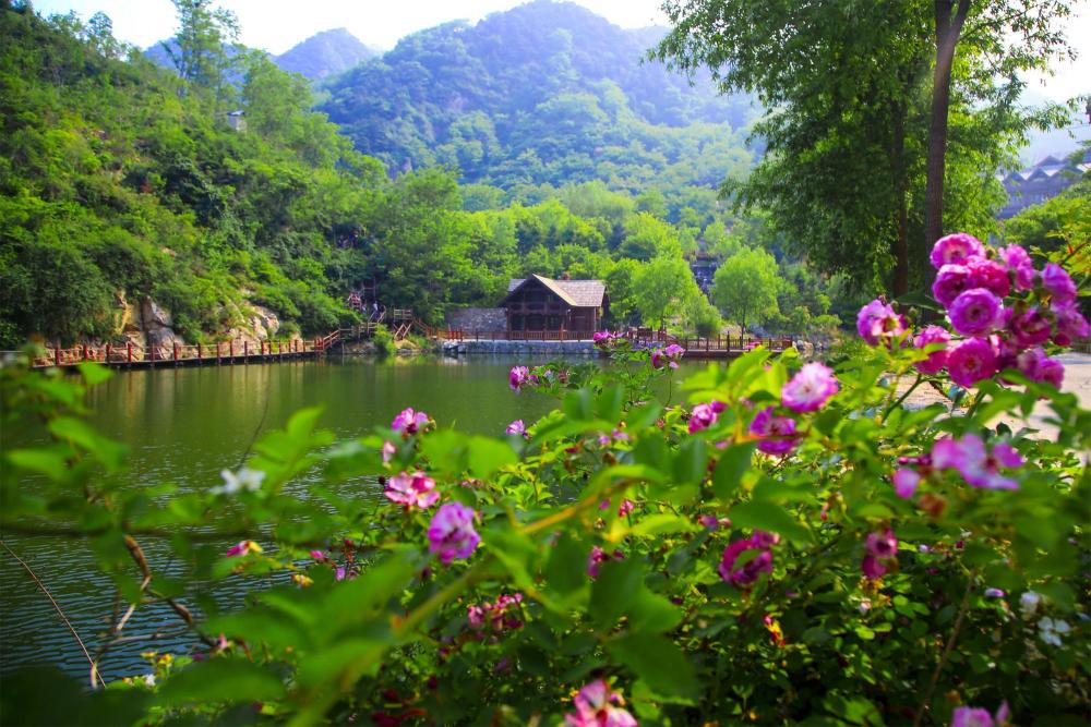 金福南演员表，自然美景的探索之旅之旅