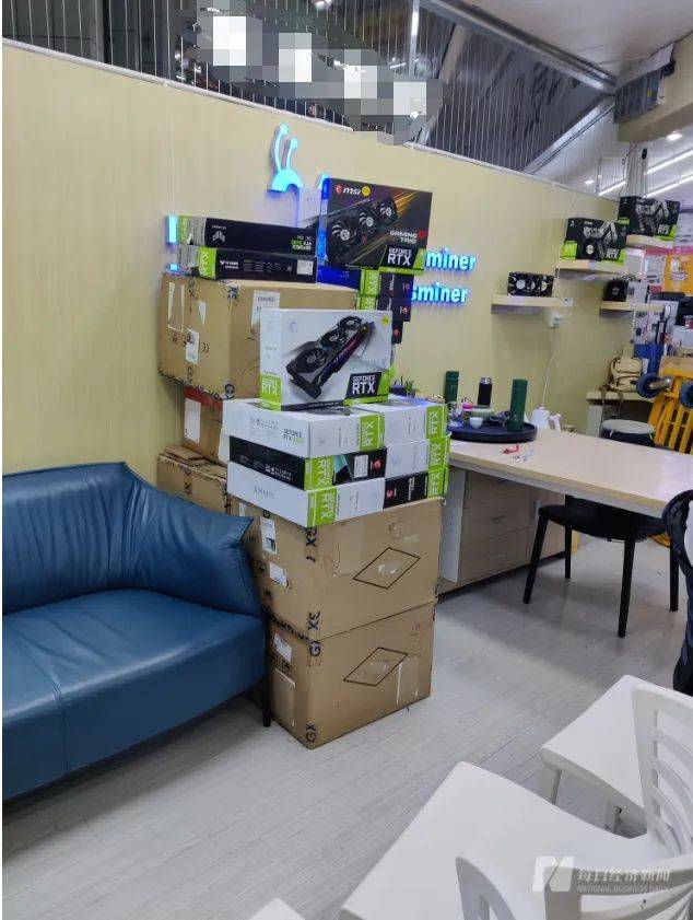 广玉兰小苗价格走势及选购指南，市场趋势深度解析
