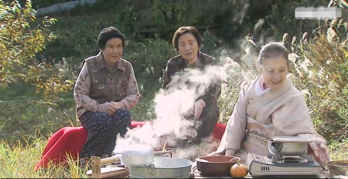 探索自然美景的旅行，启程寻找内心的宁静与平和——最新整理视频回顾