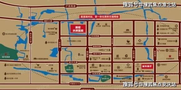 市场动态