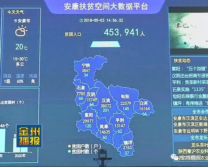 精准策略最新动态，心灵与自然的奇妙交汇之旅