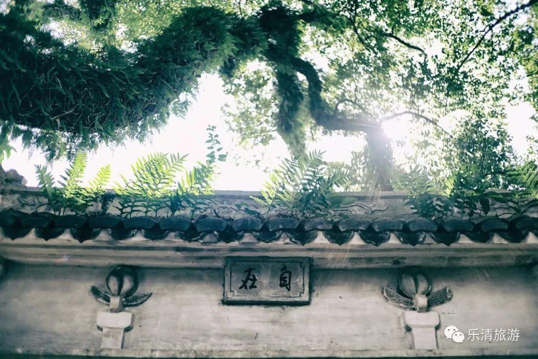 生态水环境治理 第114页