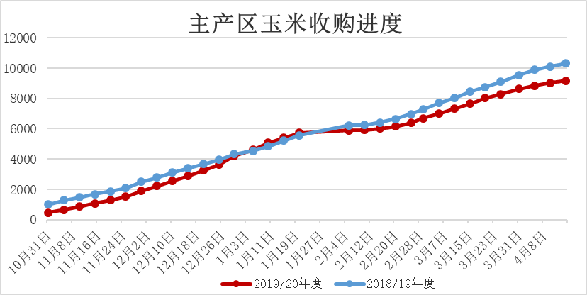 山东省玉米最新价格概览，全面了解与获取指南