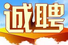连江县招聘网最新动态，招聘奇遇、友情纽带与家的温馨