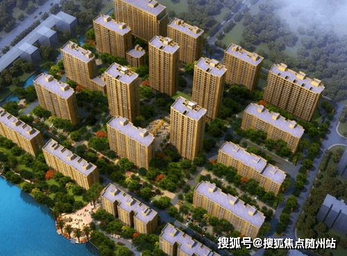 云南干姜产地最新价格走势及分析，深度阐述观点