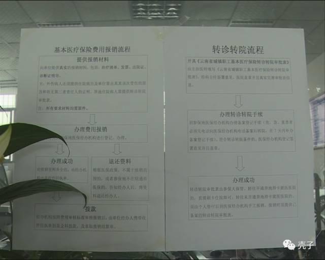 最新农合报销政策详解，深入解析与观点阐述
