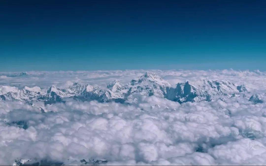 心灵与自然的美妙之旅，最新600072消息揭秘