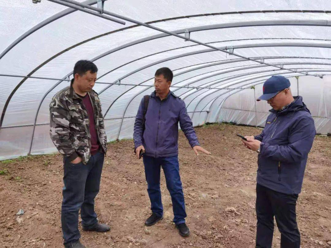 石家庄市最新人事任免，科技重塑未来，智能新纪元启航！